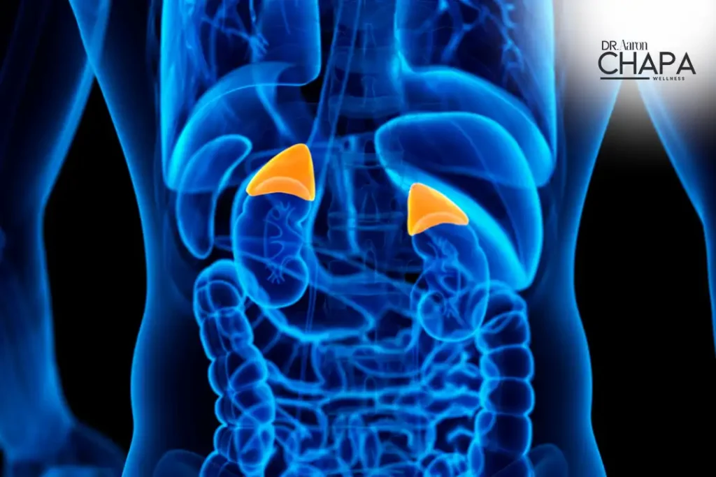 How to Detox Adrenal Glands NaturallyĀ